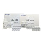 Prothrombin Time (PT) Assay Kit